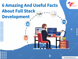 Read more about the article 6 Amazing Facts About Full Stack Development