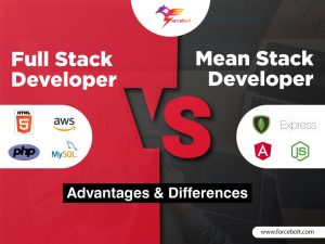 Read more about the article Full Stack Vs Mean Stack Developer – Advantages & Differences