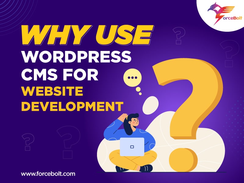 Why Use WordPress CMS For Website Development