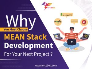 mean stack development