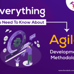 Everything You Need To Know About Agile Development Methodology