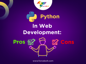 Read more about the article Python In Web Development: Pros and Cons