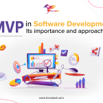 MVP in Software Development – Its Importance and Approach