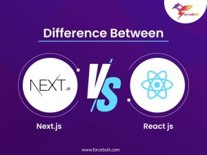 Read more about the article Next.js VS React.js: Understanding The Differences