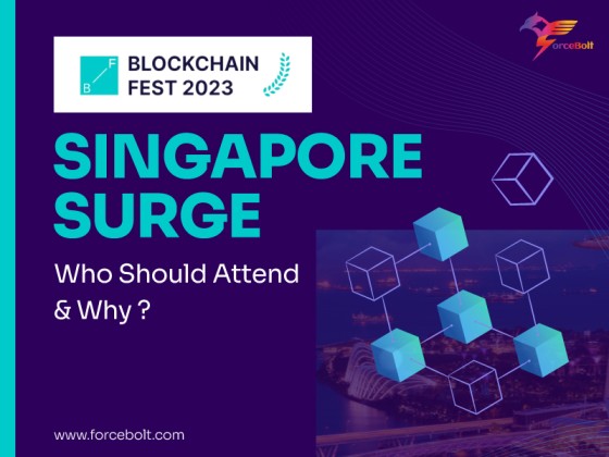 Read more about the article Blockchain Fest 2023 Singapore Surge: Who Should Attend and Why