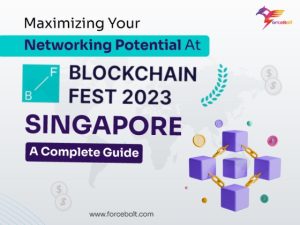Networking Potential At Blockchain Fest 2023 Singapore A Complete Guide