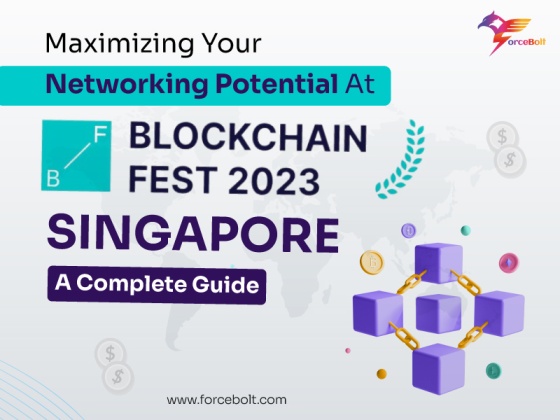 Maximizing Your Networking Potential At Blockchain Fest 2023 Singapore: A Complete Guide